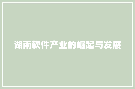 湖南软件产业的崛起与发展