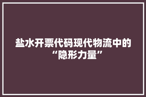 盐水开票代码现代物流中的“隐形力量”