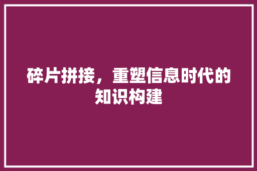 碎片拼接，重塑信息时代的知识构建