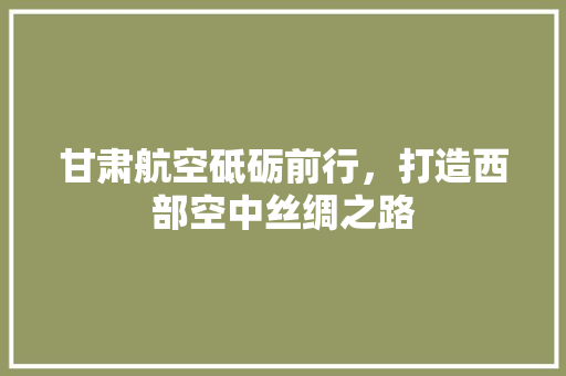 甘肃航空砥砺前行，打造西部空中丝绸之路