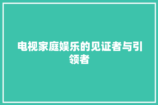 电视家庭娱乐的见证者与引领者