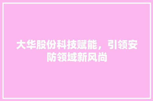 大华股份科技赋能，引领安防领域新风尚