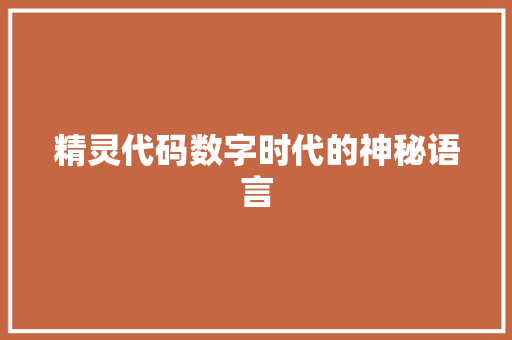 精灵代码数字时代的神秘语言