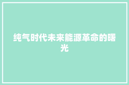 纯气时代未来能源革命的曙光