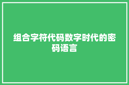 组合字符代码数字时代的密码语言