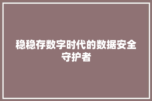 稳稳存数字时代的数据安全守护者