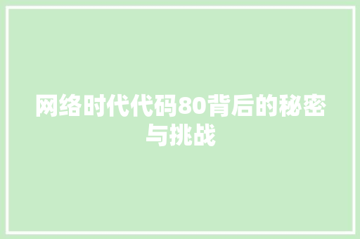 网络时代代码80背后的秘密与挑战