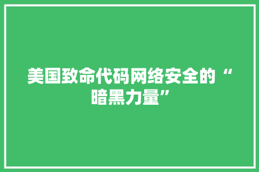 美国致命代码网络安全的“暗黑力量”
