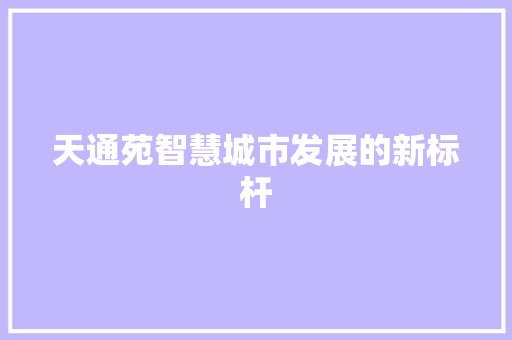 天通苑智慧城市发展的新标杆