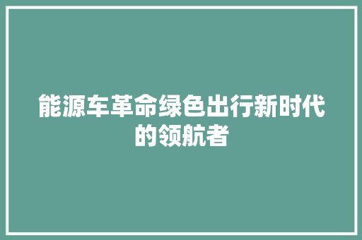 能源车革命绿色出行新时代的领航者