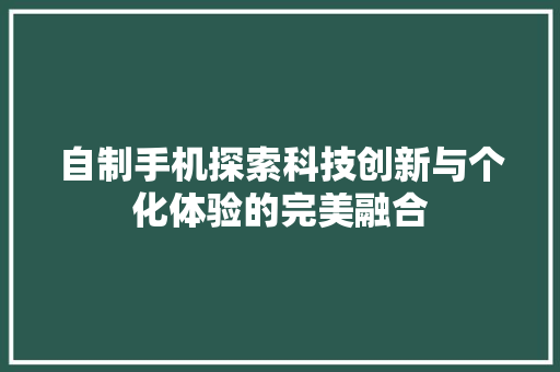 自制手机探索科技创新与个化体验的完美融合