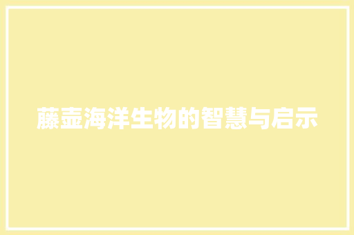 藤壶海洋生物的智慧与启示