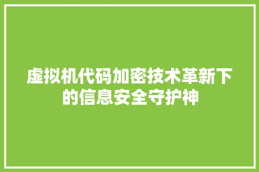 虚拟机代码加密技术革新下的信息安全守护神
