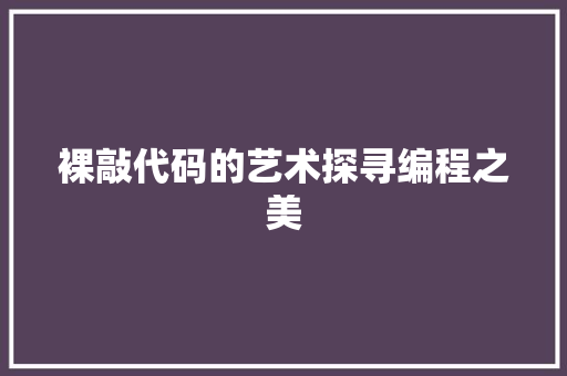 裸敲代码的艺术探寻编程之美