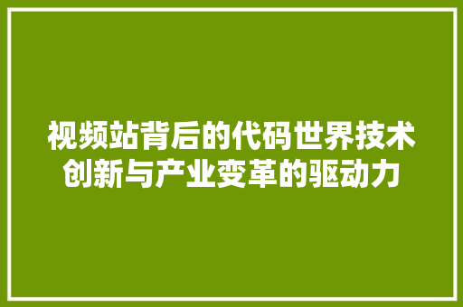 视频站背后的代码世界技术创新与产业变革的驱动力
