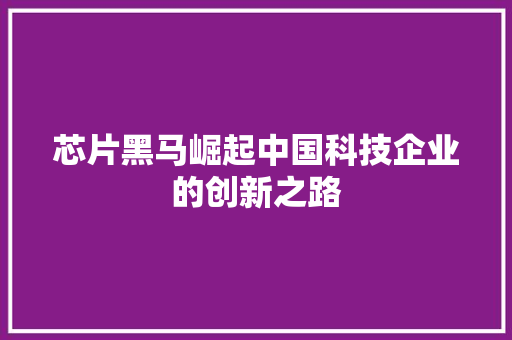 芯片黑马崛起中国科技企业的创新之路