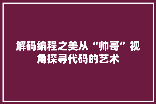解码编程之美从“帅哥”视角探寻代码的艺术