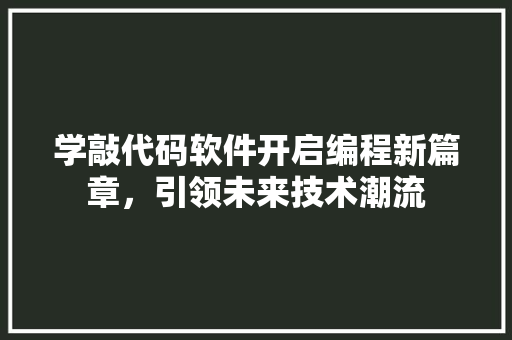 学敲代码软件开启编程新篇章，引领未来技术潮流