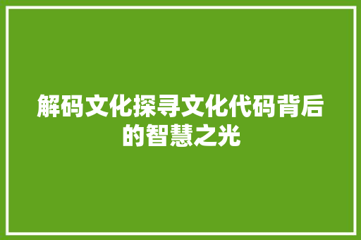 解码文化探寻文化代码背后的智慧之光