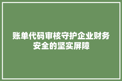 账单代码审核守护企业财务安全的坚实屏障