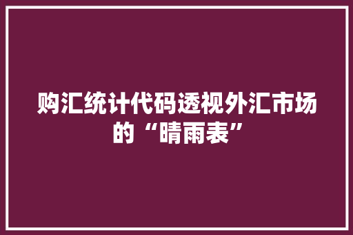 购汇统计代码透视外汇市场的“晴雨表”
