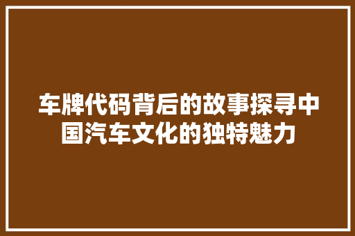 车牌代码背后的故事探寻中国汽车文化的独特魅力