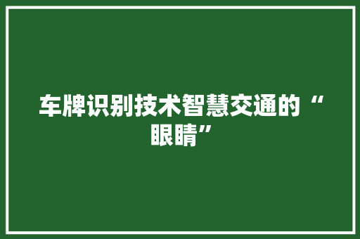 车牌识别技术智慧交通的“眼睛”