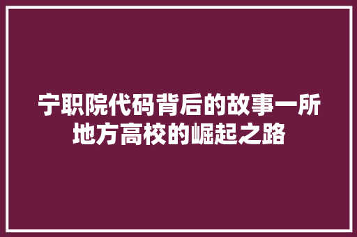 宁职院代码背后的故事一所地方高校的崛起之路