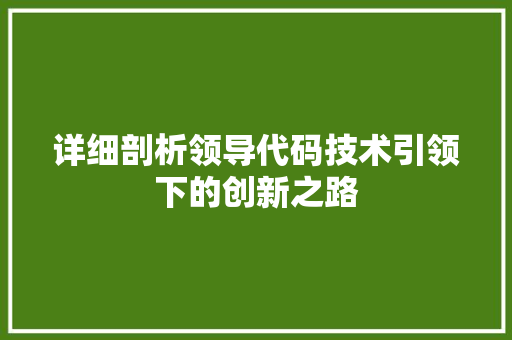 详细剖析领导代码技术引领下的创新之路