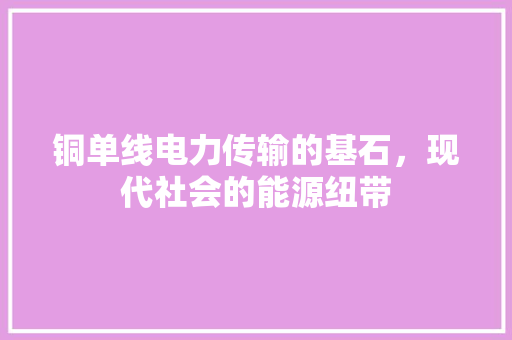 铜单线电力传输的基石，现代社会的能源纽带