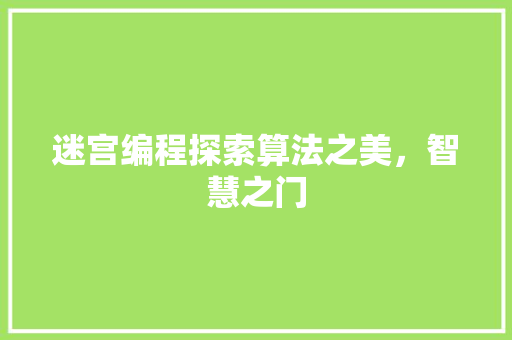 迷宫编程探索算法之美，智慧之门