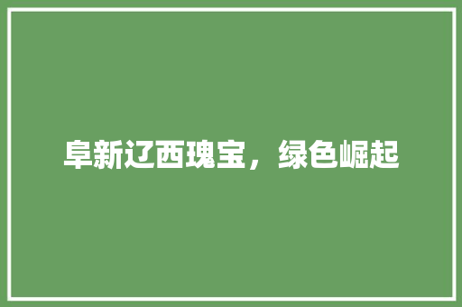 阜新辽西瑰宝，绿色崛起