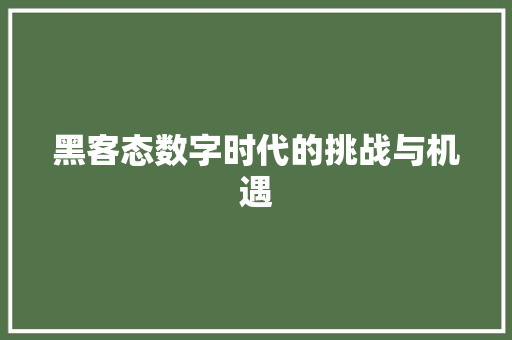 黑客态数字时代的挑战与机遇