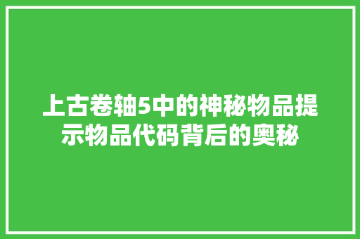 上古卷轴5中的神秘物品提示物品代码背后的奥秘  第1张