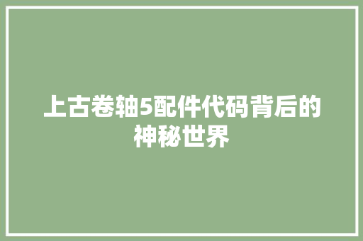 上古卷轴5配件代码背后的神秘世界