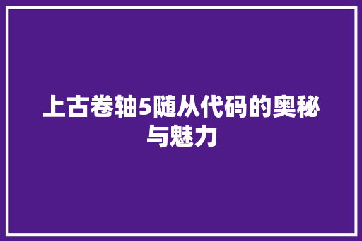上古卷轴5随从代码的奥秘与魅力