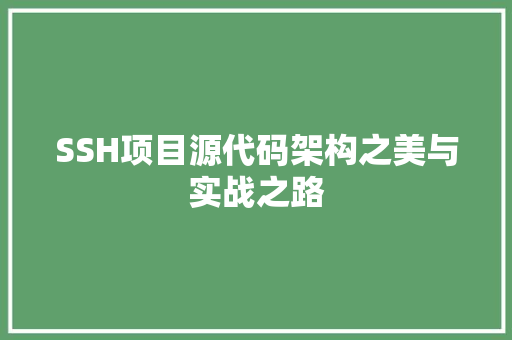 SSH项目源代码架构之美与实战之路