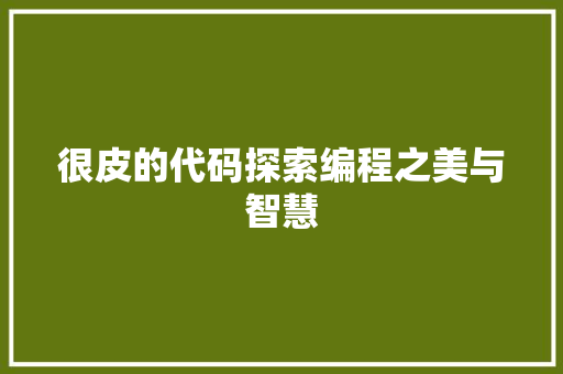 很皮的代码探索编程之美与智慧