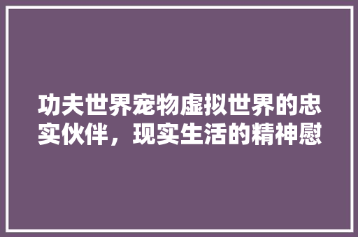 功夫世界宠物虚拟世界的忠实伙伴，现实生活的精神慰藉