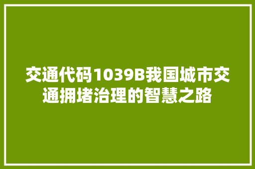 交通代码1039B我国城市交通拥堵治理的智慧之路