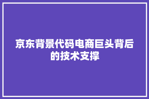 京东背景代码电商巨头背后的技术支撑