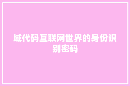 域代码互联网世界的身份识别密码