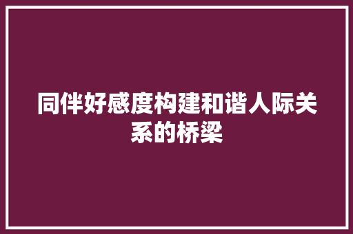 同伴好感度构建和谐人际关系的桥梁