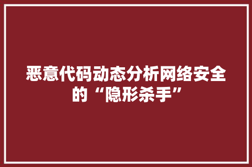 恶意代码动态分析网络安全的“隐形杀手”