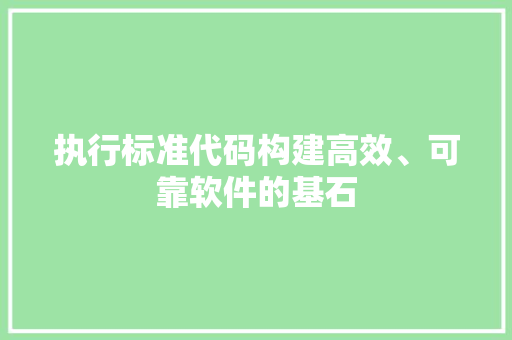 执行标准代码构建高效、可靠软件的基石