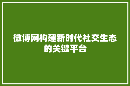 微博网构建新时代社交生态的关键平台