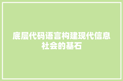 底层代码语言构建现代信息社会的基石