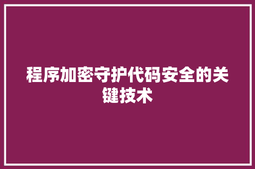 程序加密守护代码安全的关键技术