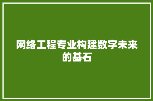 网络工程专业构建数字未来的基石