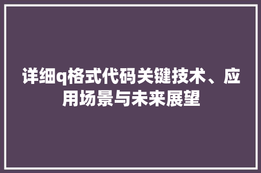 详细q格式代码关键技术、应用场景与未来展望